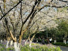 -白塘生态植物园