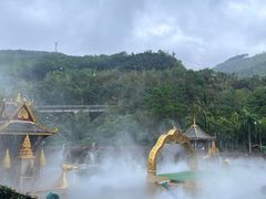 -西双版纳原始森林公园