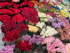 -双季花艺园艺市场(浦东店)