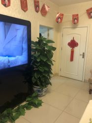 -紫洁俪方（北京）医疗美容