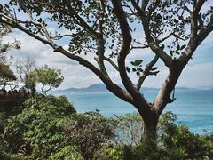 -美人鱼悬崖海景餐厅(鹿嘴山庄店)