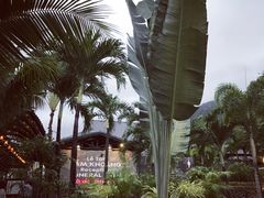 -100蛋泥浆浴