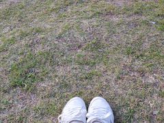 -艾溪湖湿地公园