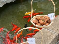 -麒麟小院·老九江菜(安平路店)