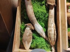 -菌自由丨野生菌火锅特色庭院餐厅(丽江古城店)