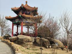 -白水寺森林公园