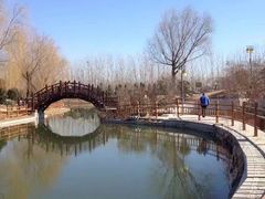-燕郊植物园