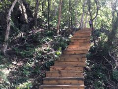 -白草畔自然风景区