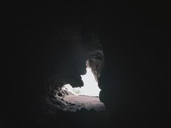 -海南霸王岭国家森林公园