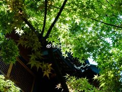 -鱼桥巷·美学川菜