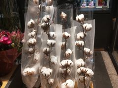 -Acne Studios(芮欧百货店)
