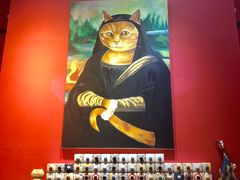 -猫色咖啡·猫咖