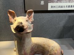 -荆州博物馆