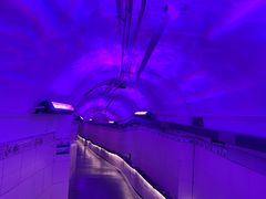 -洞庭洲·防空洞火锅·烧烤·铜锅涮肉(新百广场店)