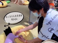 -逗柴咖啡屋·狗咖猫咖宠物桌游