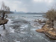 -长春市南湖公园