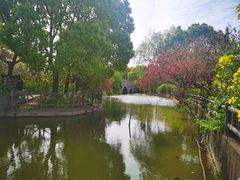 -南汇桃花村
