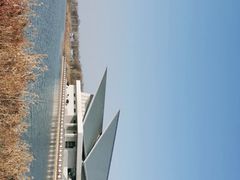 -盐城丹顶鹤湿地生态旅游区