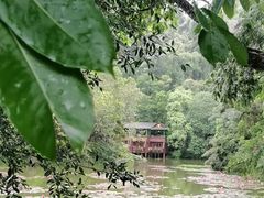 -野象谷景区