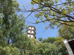 -江心屿景区