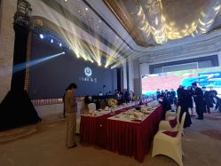 点击看大图 -武汉万达瑞华酒店·宴会厅