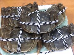 -七的湖·晚芳亭·阳澄湖农家菜·大闸蟹(莲花岛店)