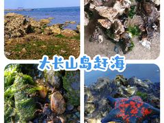 -大长山岛
