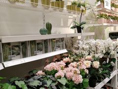 -宜家家居(西安未央商场店)