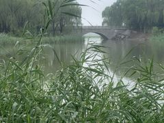 -大兴滨河森林公园