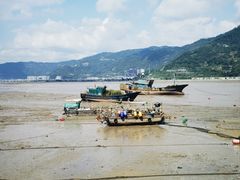 -北岐滩涂