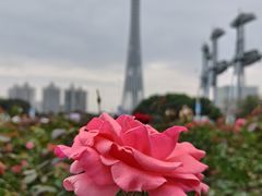 -海心沙亚运公园