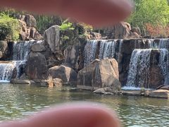 -白马涧龙池景区