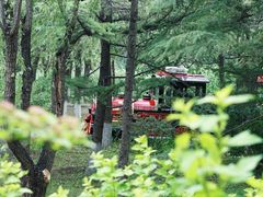 -大兴滨河森林公园