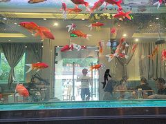-阳光院坝小龙虾(红牌楼店)