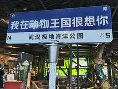 -海合安武汉极地海洋公园