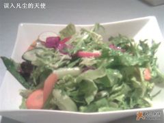 蔬菜色拉-上海小南国(国发店)