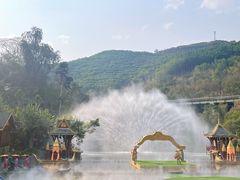 -西双版纳原始森林公园