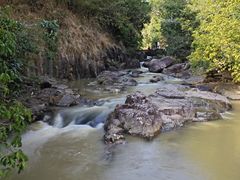 -广州白江湖森林公园