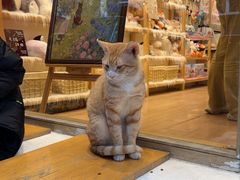 -猫的天空之城概念书店(大学路店)