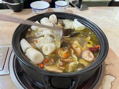 -蘑统田下·野生菌火锅