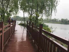 -杭州湾海上花田景区
