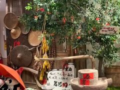 -田园印象·成都土菜院子(华阳店)