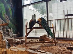 -绿色星球动物主题公园