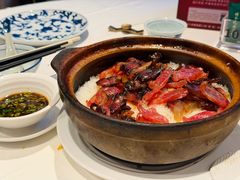 -侨美食家·41年地道粤菜(珠江新城店)