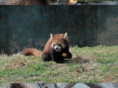 -宁波野生动物园