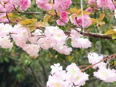 -宝界普菲特湖畔酒店