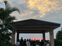 -小南山公园