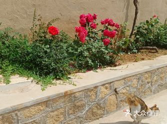 漂流虽然不限次数，但是排队要烦死