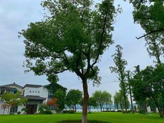 -杭州西湖柳莺里酒店
