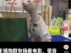 -幸福蓝海国际影城(崇安寺T12店)